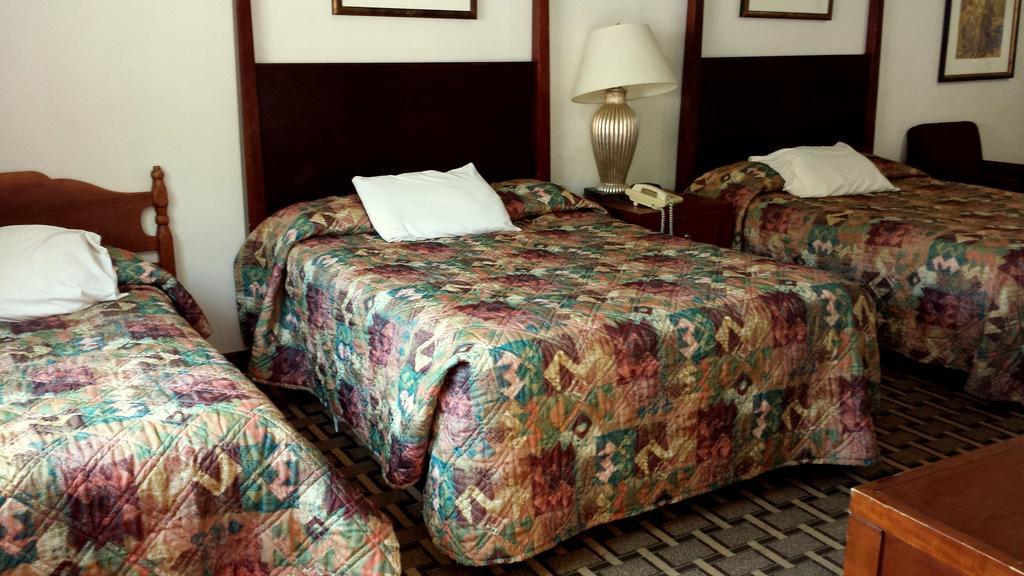 Executive Inn & Suites Lakeview Room photo